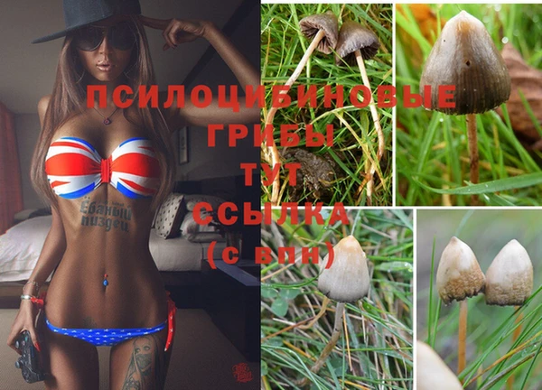 spice Надым
