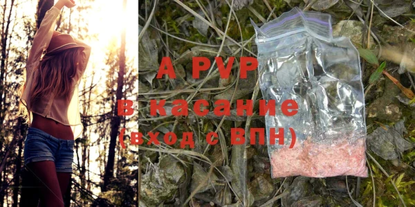 spice Надым