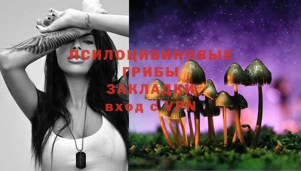 spice Надым
