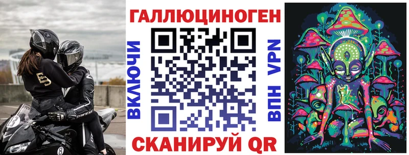 Галлюциногенные грибы Psilocybe Новосиль