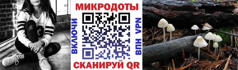 Псилоцибиновые грибы Psilocybine cubensis  магазин продажи   Новосиль 